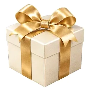 Wrapped gift box — Joe Fortune